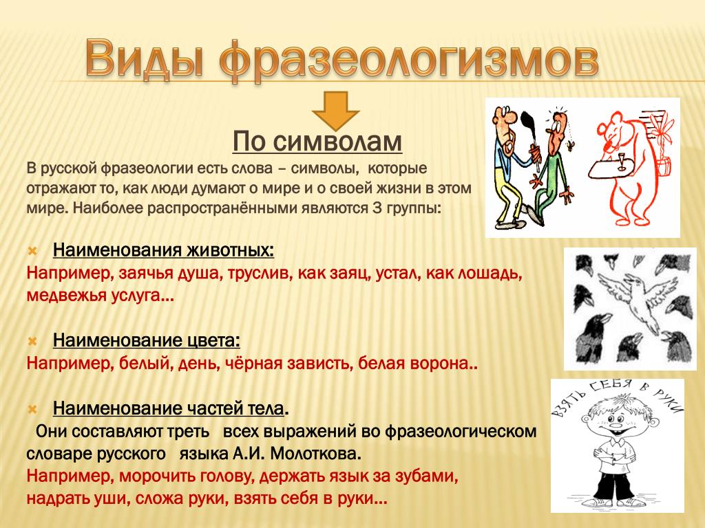 Презентация по русскому языку 6 класс фразеологизмы